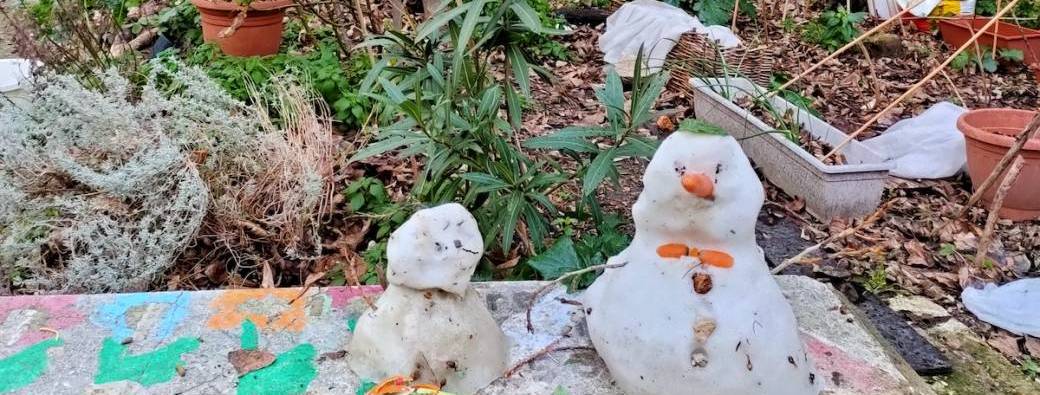 Explorez les jardins et villas du 14e