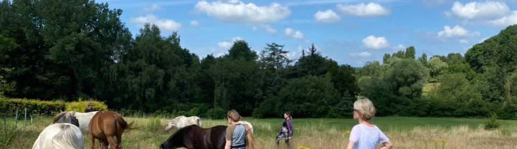Explorez votre juste rythme avec les chevaux