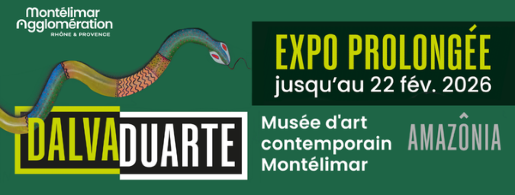 Exposition AMAZÔNIA de Dalva Duarte - visite privée - 27 janvier