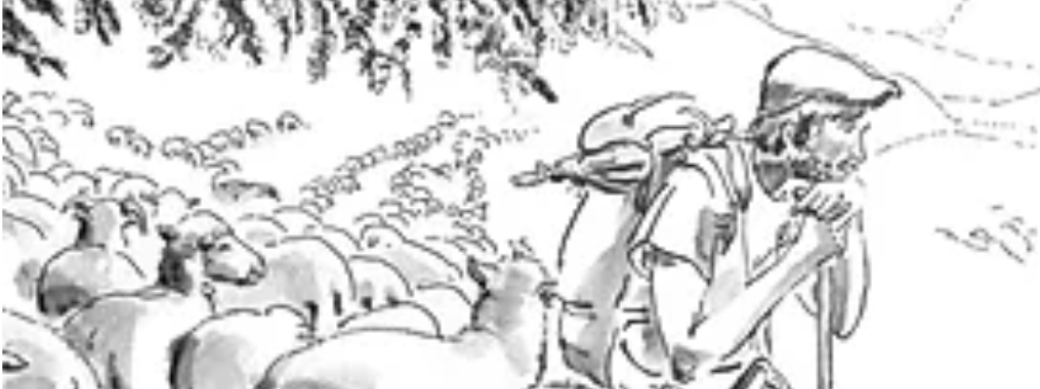 Exposition Berger, un métier.  Je vous fais un dessin ?