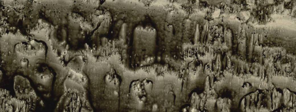 Exposition : Roger Bogaert