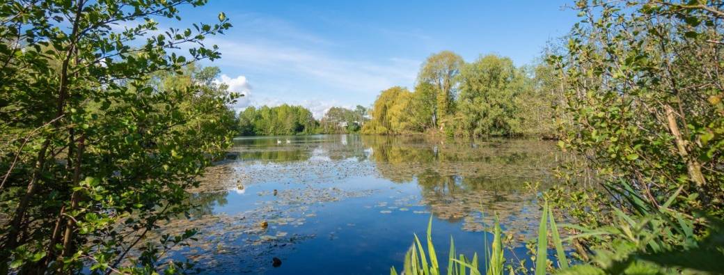 FÊTE DE LA LYS | Marche Nature et Ornitho