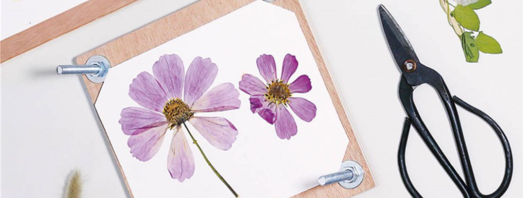 Annulé Fabrique ton presse-fleurs ! 7-13 ans