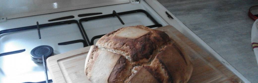 Fabriquer son pain au levain bio