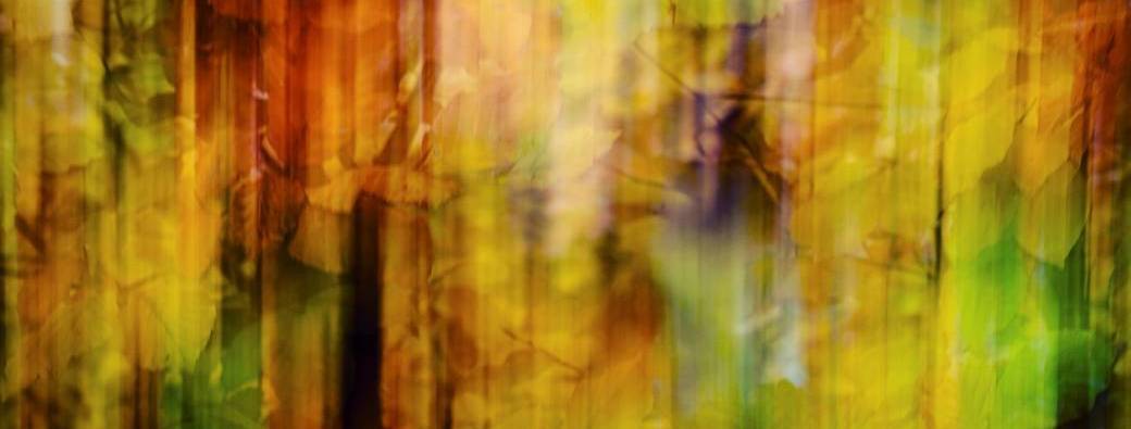 Faites des photos impressionnistes ! Sortie photo spéciale ICM