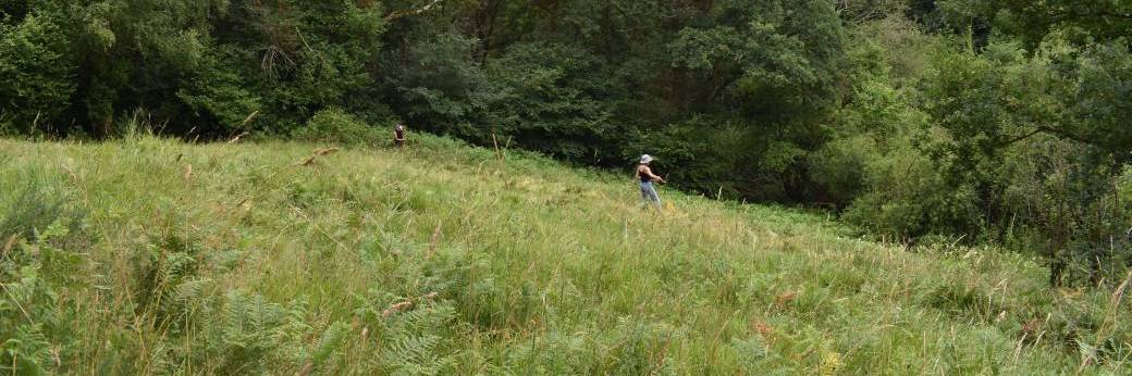 Fauche estivale du coteau de la Valmière 11/07/2026