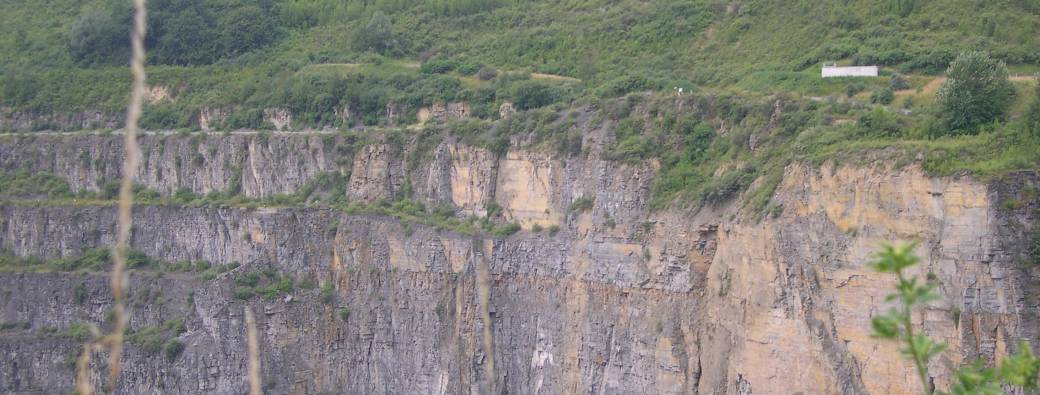 Faune sauvage en milieu carrier