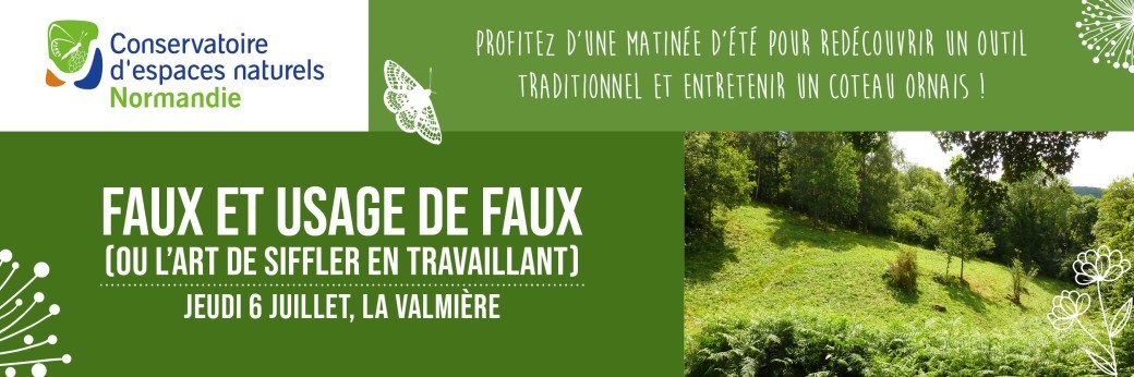 Faux et usage de faux (ou l'art de siffler en travaillant)