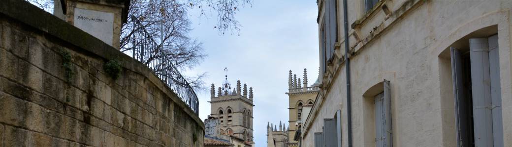 Femmes Montpelliéraines, l'Histoire de la ville sous un autre regard. 