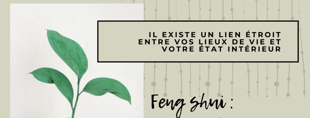  FENG SHUI intuitif  par domaine de vie