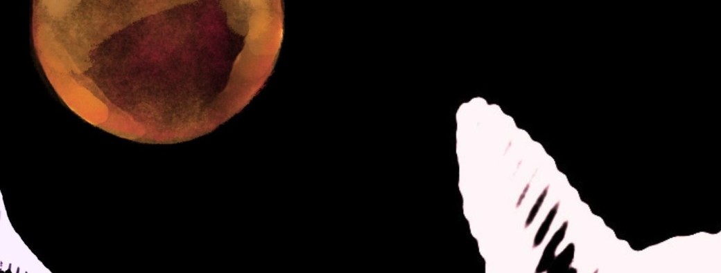 Fest Amasseurs : Au nom du Père, du Fils et du Bull Terrier