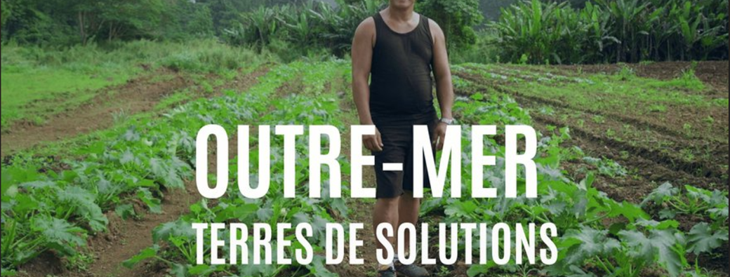 [Festival Alimenterre] Projection-débat : "Outre-mer, terres de solutions"