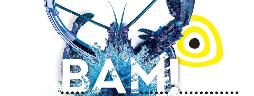 Festival BAM ! 2026