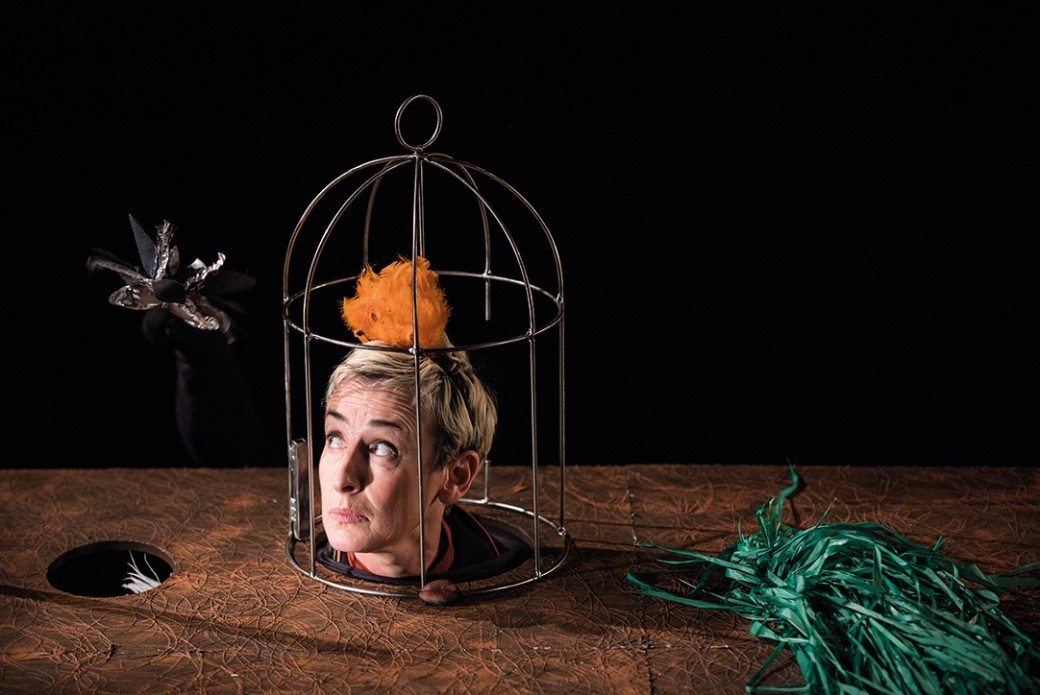 Festival Les P'tits Géants │Dispositif forêt