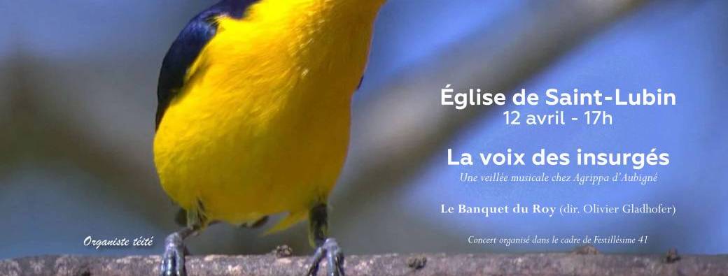 Festival Orgue en Cisse concert n 3