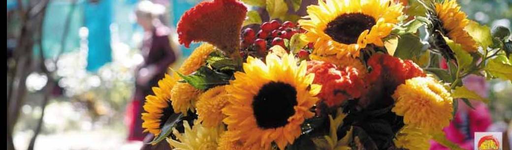Fête d'automne
