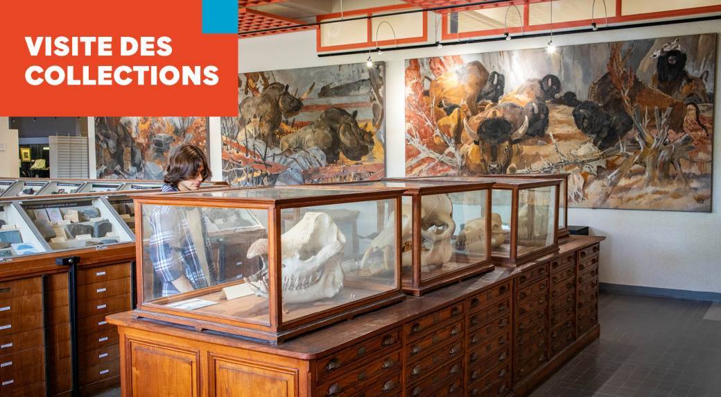 Fête de la Science 2025 : Visites des collections