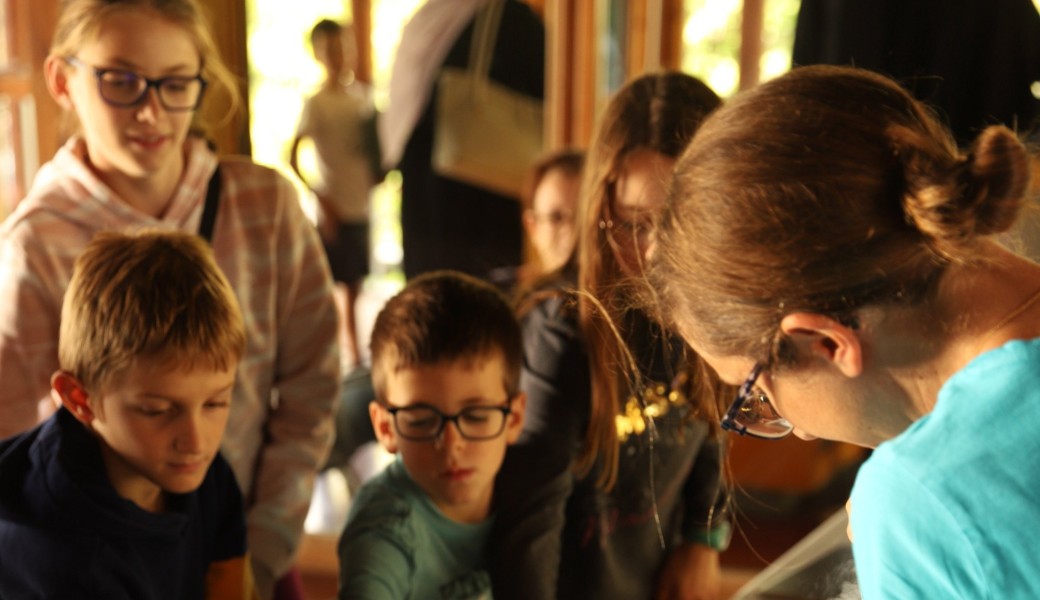 Fête de la science - Les P'tits savants de Saint-Martin-le-Vinoux 