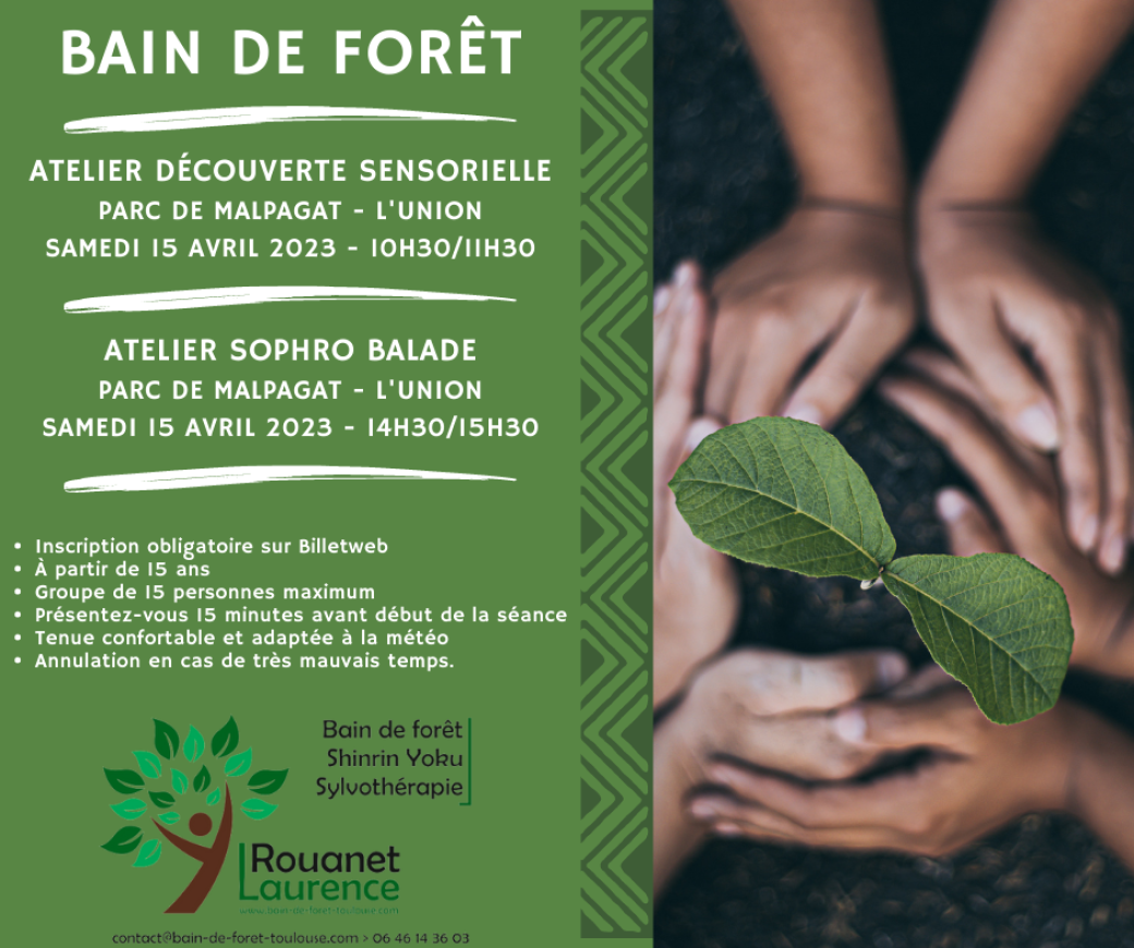Fête de l'arbre - Sophro balade