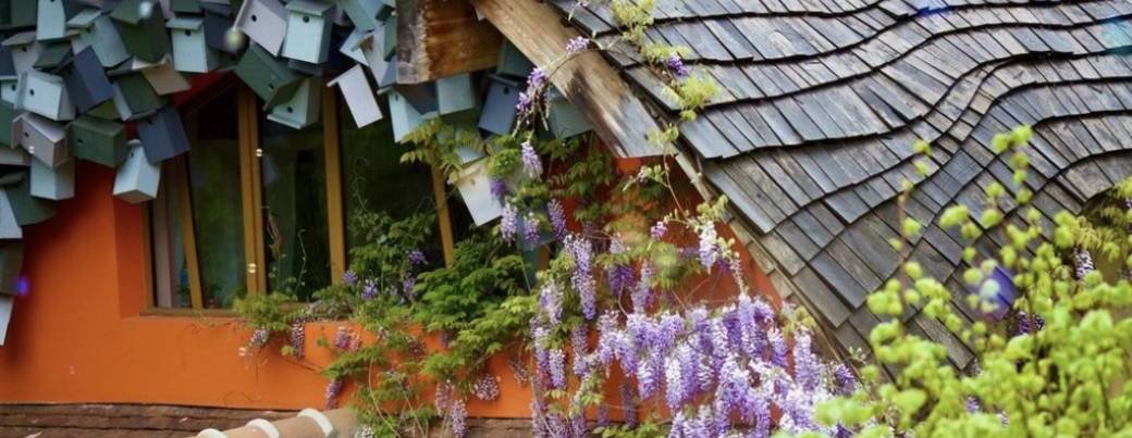 Fête des fleurs