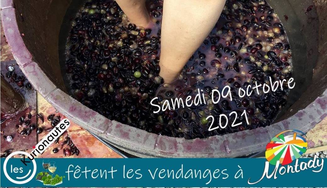 Fête des Vendanges Montady