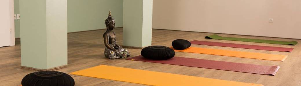 Fête du yoga