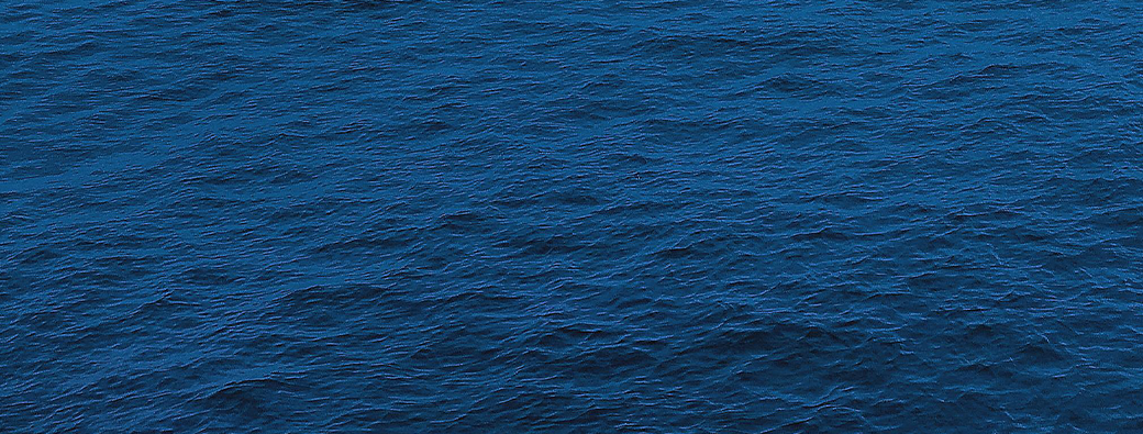 Fêter la Méditerranée