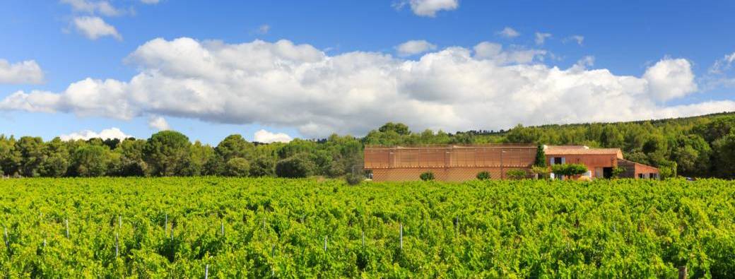 Venez découvrir le Domaine Belambrée