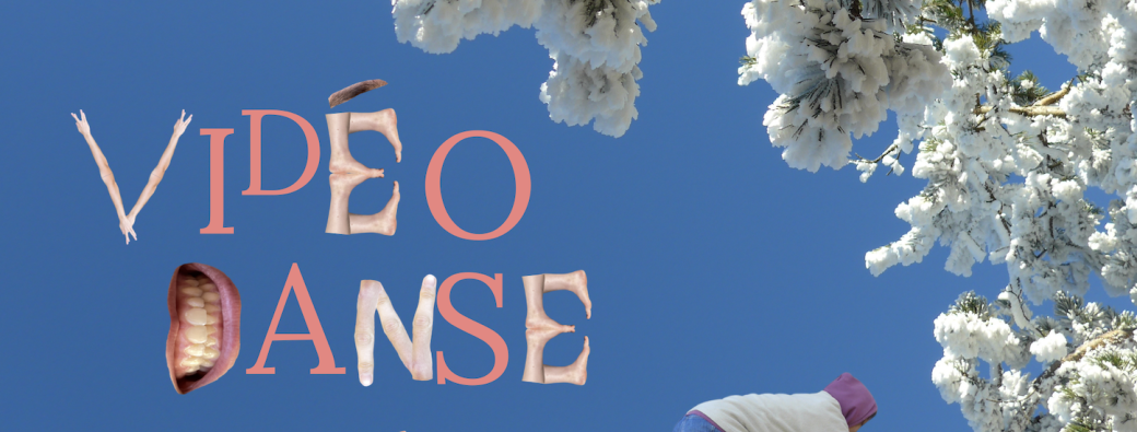 Festival de vidéo-danse