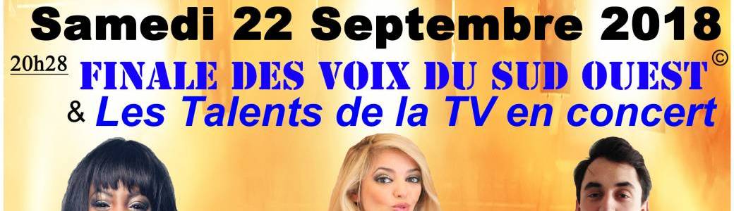 Finale VSO 2018 & les Talent de la TV en concert
