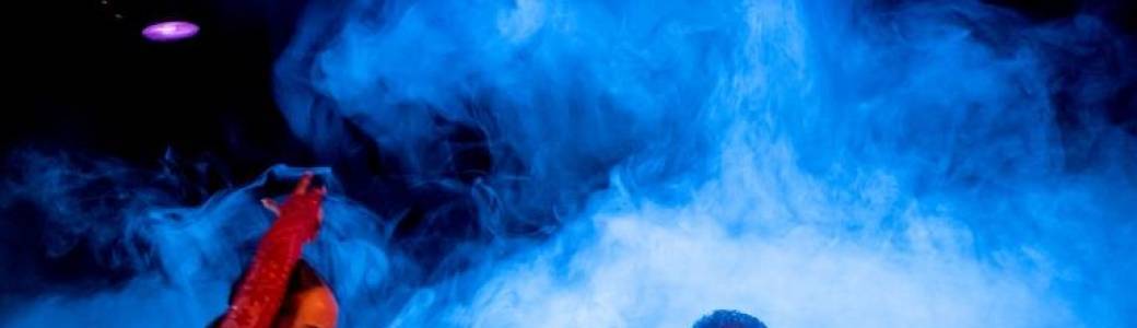 Flamenco por un poeta