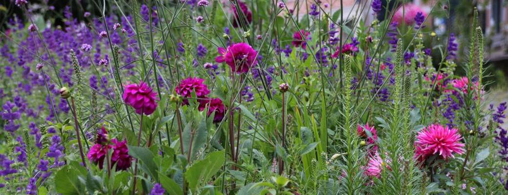 Fleurissement durable - Genappe