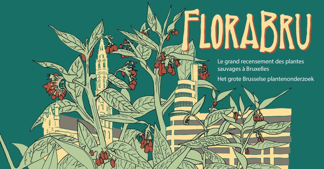 Balade Florabru - Flore de la Woluwe