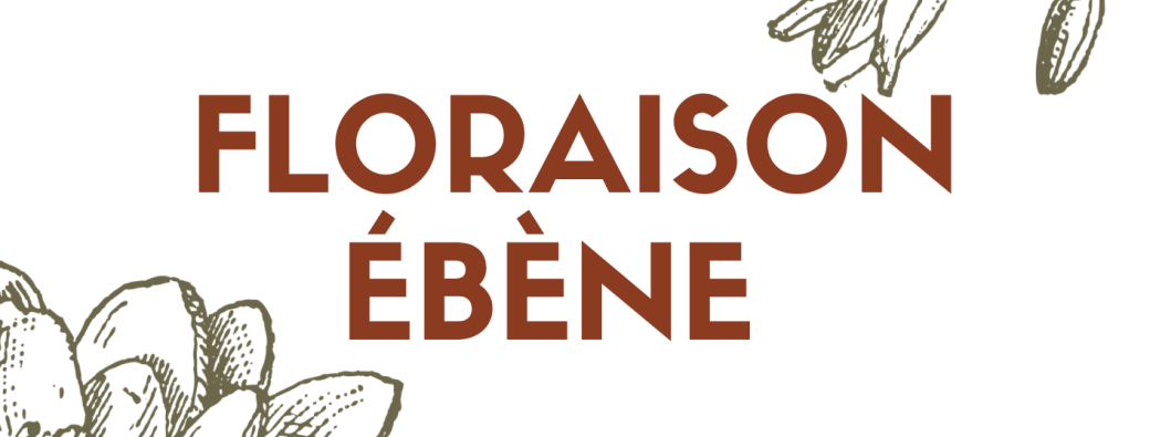 FLORAISON ÉBÈNE 