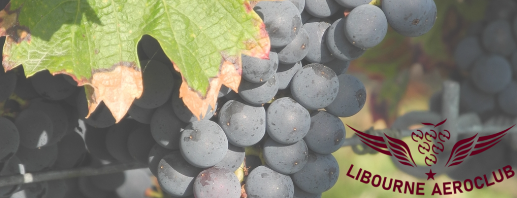 Fly'In des Vendanges
