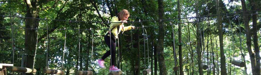 Forest Adventure