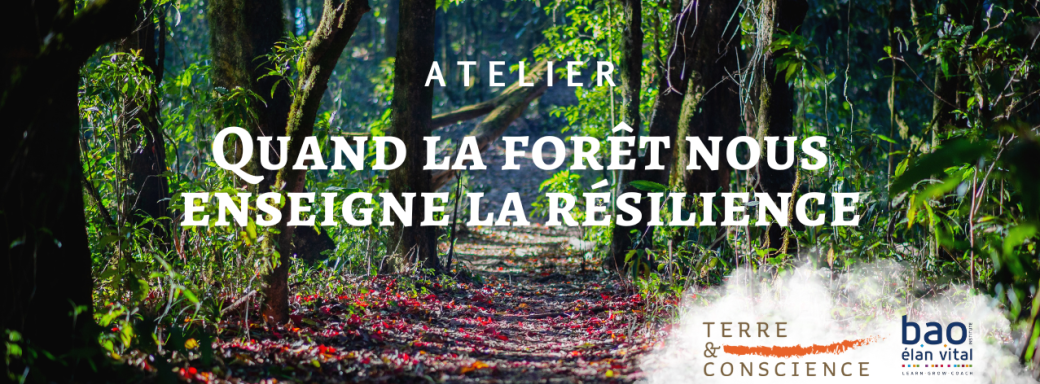 Forêt et Résilience