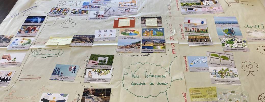 Formation à la fresque de la RSE - PARIS