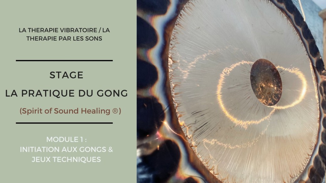 FORMATION A LA PRATIQUE DU GONG MODULE 1