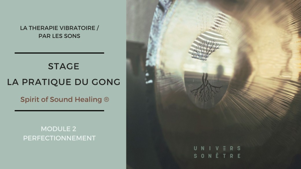 FORMATION A LA PRATIQUE DU GONG MODULE 2