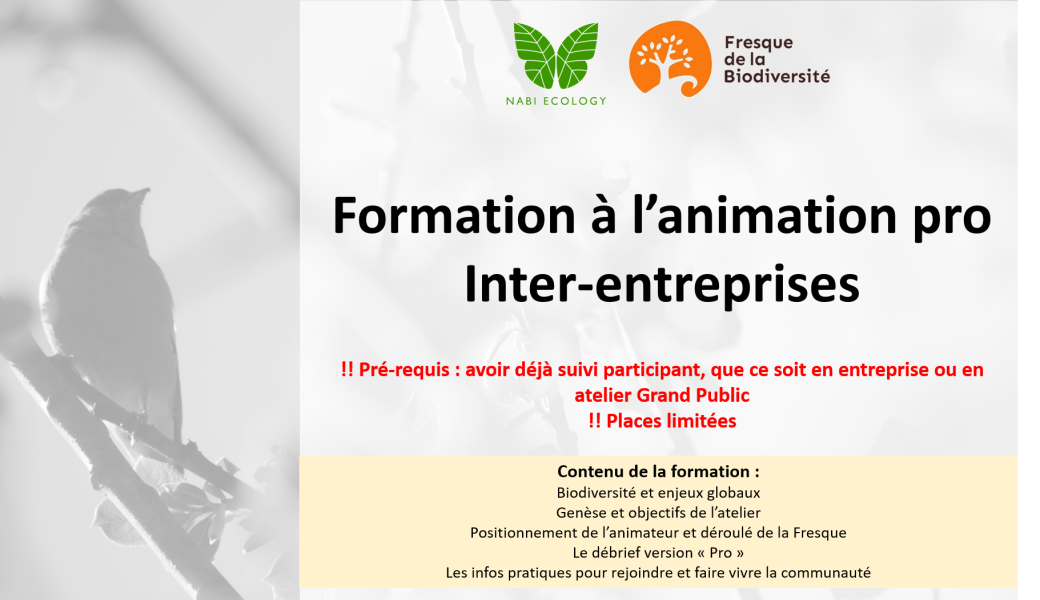 Formation à l'animation Fresque de la Biodiversité pour les pros