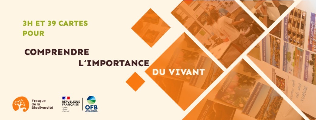 Formation à l'animation Grenoble