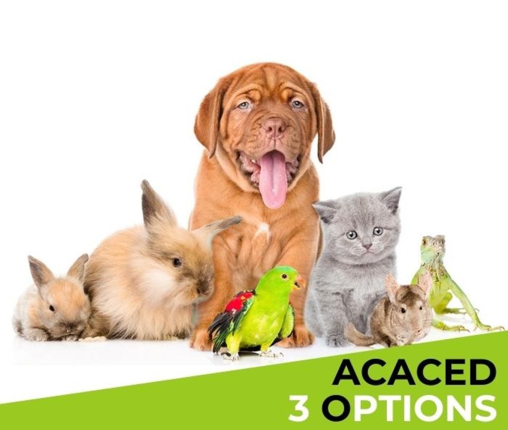 ACACED E-learning 3 options