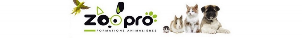 Formation ACACED Animaux - DIJON