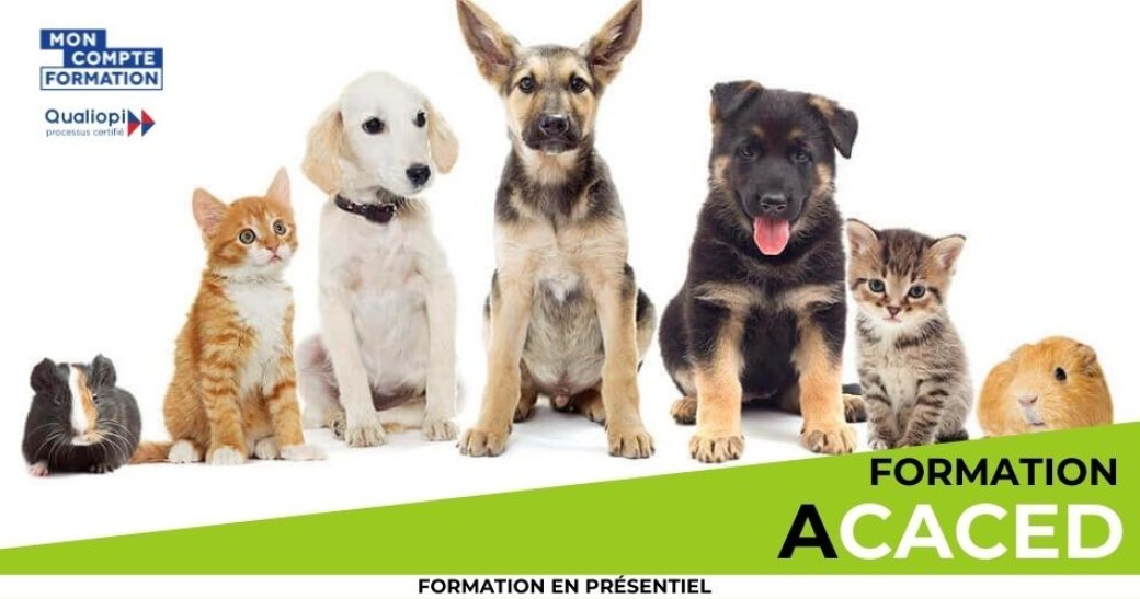 Formation ACACED - LILLE