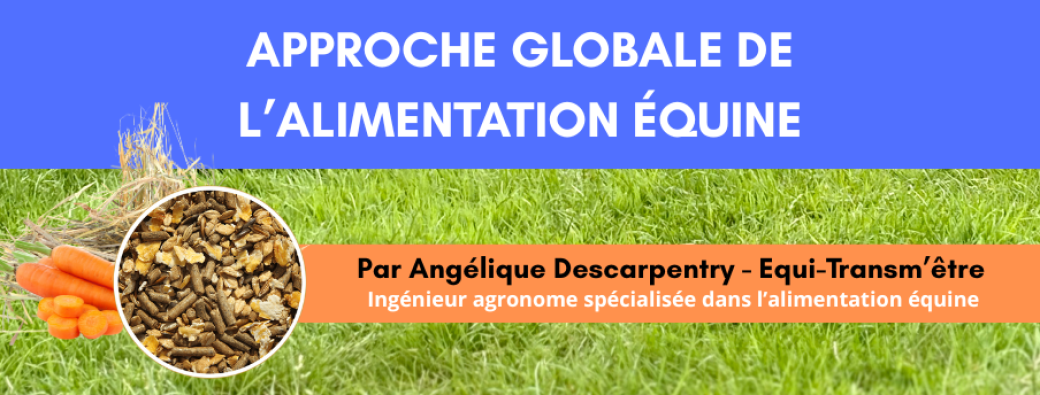 Formation alimentation du cheval par Angélique Descarpentry - Equi-transm'être