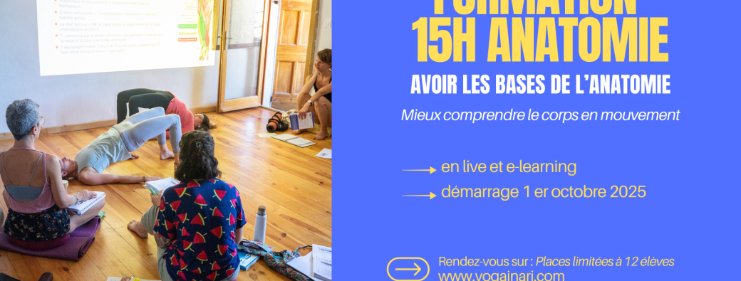 Formation Anatomie 15H en ligne