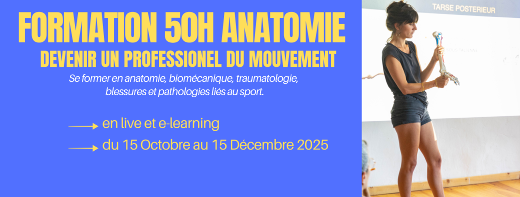 Formation Anatomie 50H en ligne