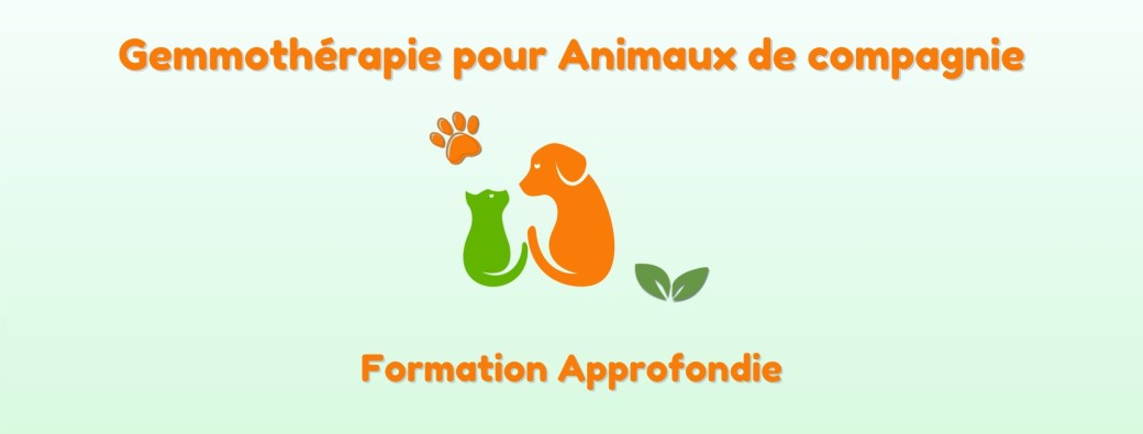 Formation approfondie en gemmothérapie pour animaux de compagnie