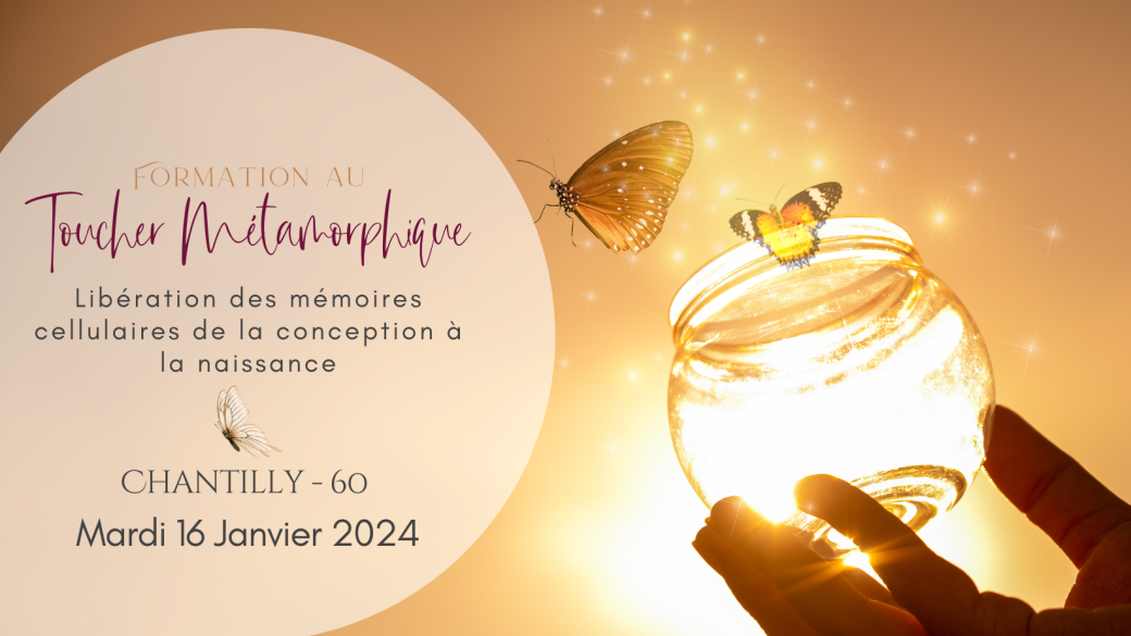 Formation au Toucher Métamorphique